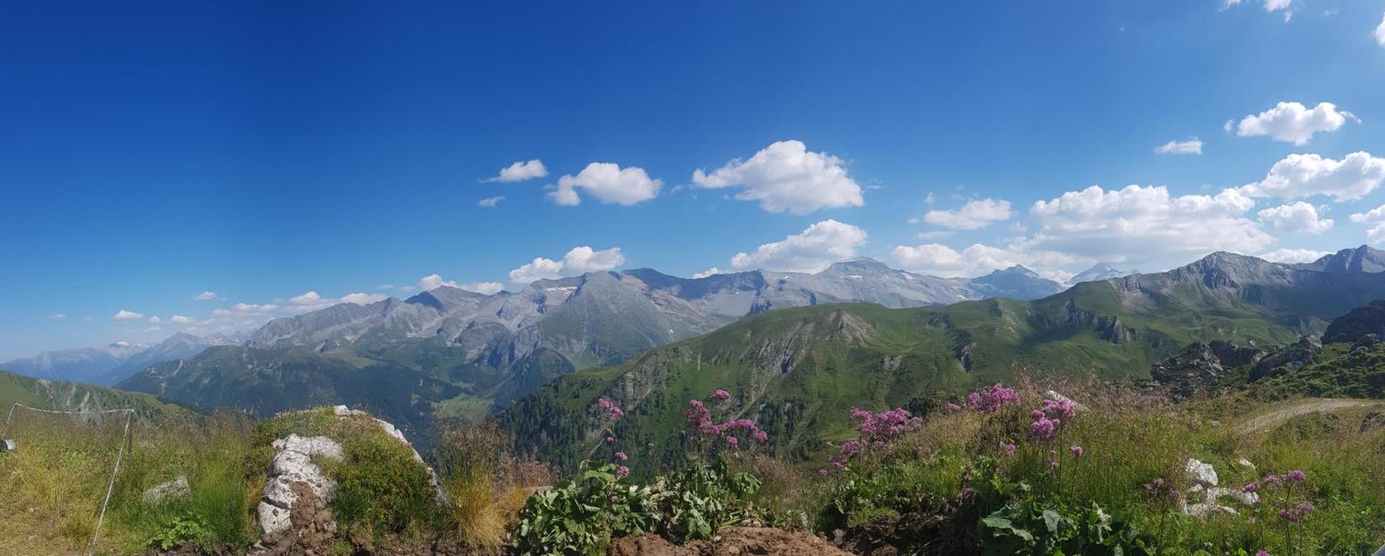Erbhof Innertal Tux Dış mekan fotoğraf